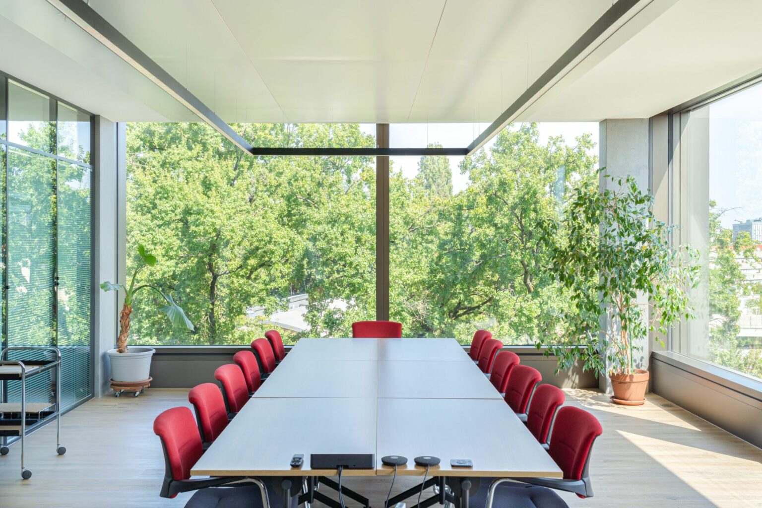 Salle de réunion baignée de lumière naturelle avec vue sur les arbres, favorisant la concentration et la qualité de vie au travail.