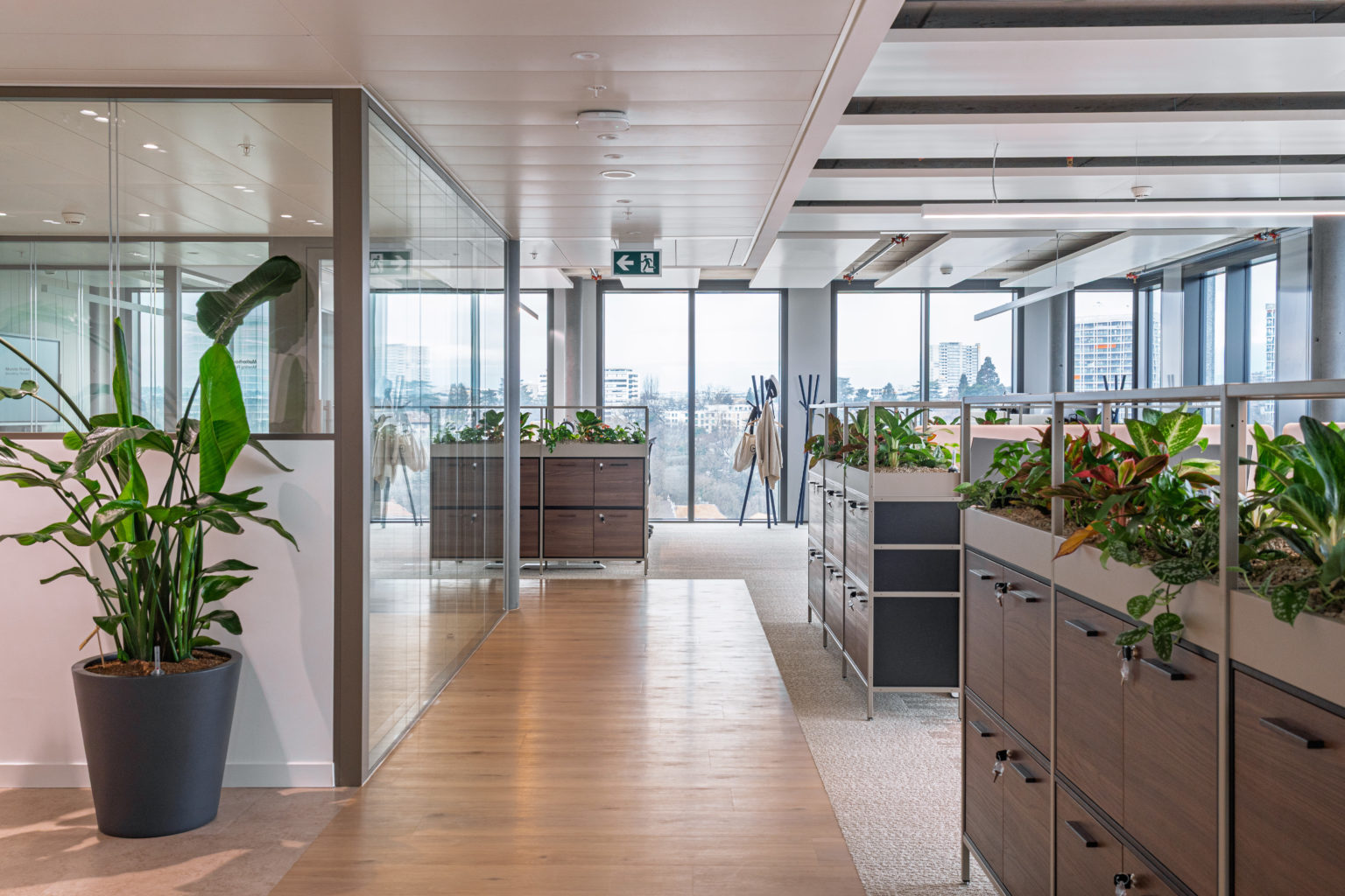 Allée centrale desservant un open space avec rangements intégrés et végétation intérieure.